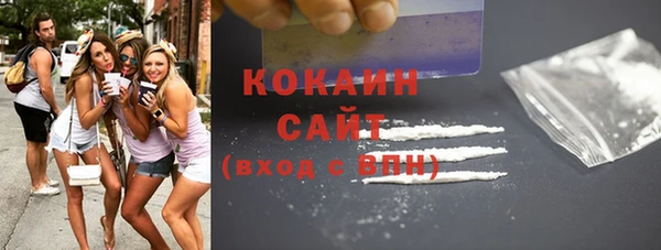 ешки Алексин