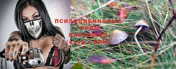 ешки Алексин