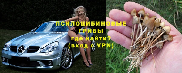прущие крисы Алзамай